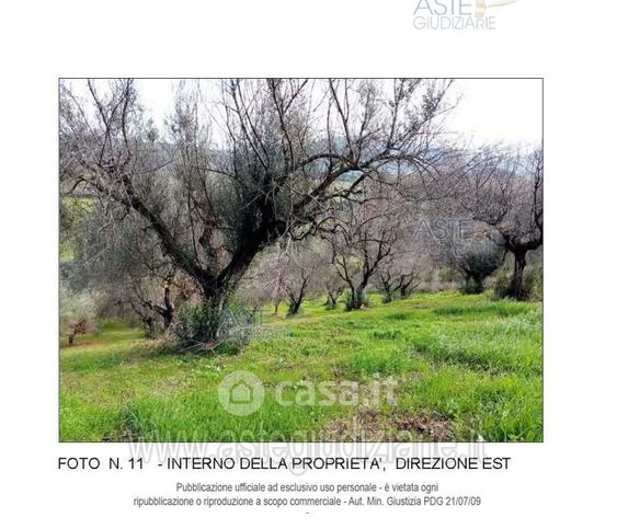 Terreno agricolo in commerciale in 