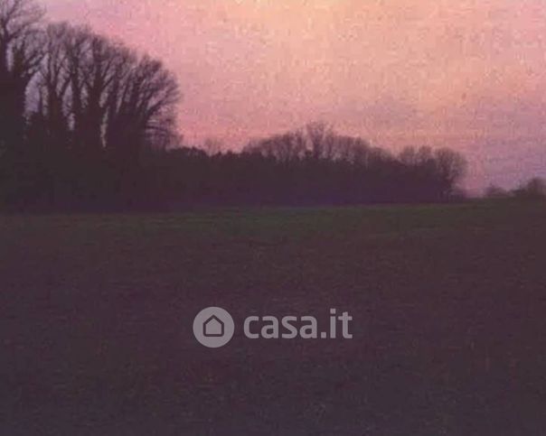 Terreno agricolo in commerciale in LocalitÃ  Alberazzo