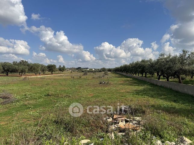 Terreno agricolo in commerciale in Strada Statale 274