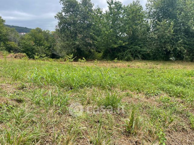 Terreno agricolo in commerciale in Via Arcuri