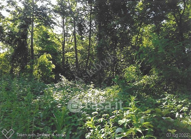 Terreno agricolo in commerciale in Strada Consorziale