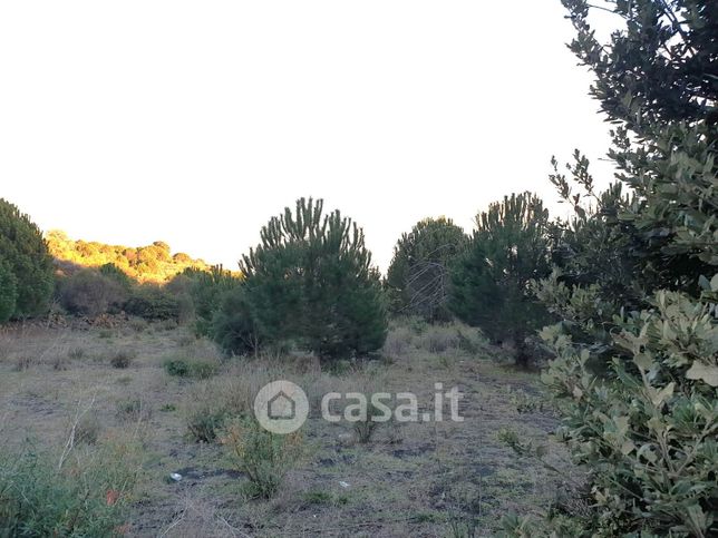 Terreno agricolo in commerciale in Via Monpeluso