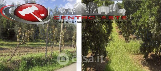 Terreno agricolo in commerciale in Piazza Battisti