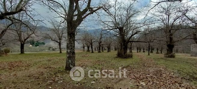 Terreno agricolo in commerciale in Strada Provinciale 25c