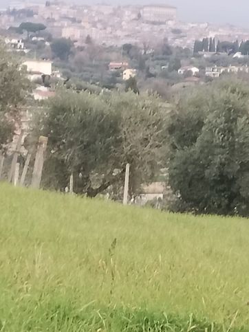 Terreno agricolo in commerciale in Via Colle Scarano