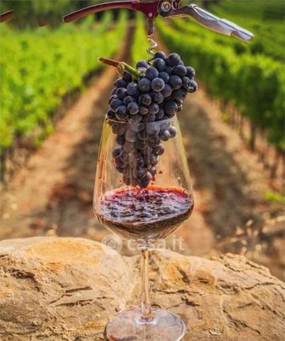 Terreno agricolo in commerciale in Via Levata