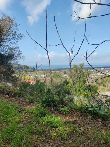 Terreno agricolo in commerciale in Via Arco Felice Vecchio