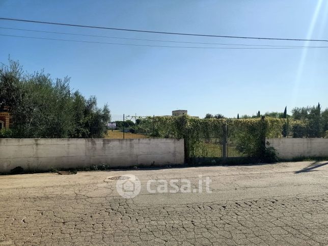 Terreno agricolo in commerciale in Carrara San Francesco