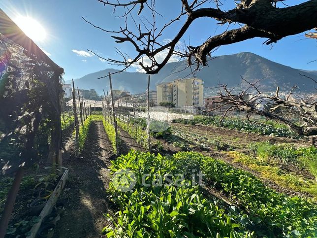 Terreno agricolo in commerciale in Via Lamma 5