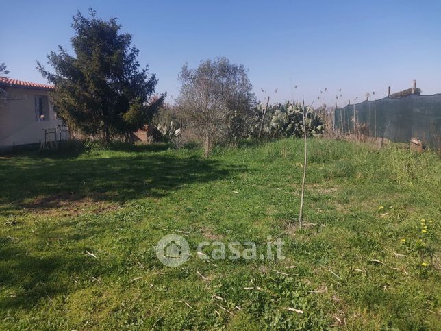 Terreno agricolo in commerciale in Via Perseo di Cizio