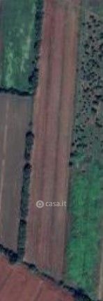 Terreno agricolo in commerciale in 