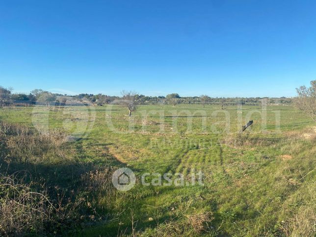 Terreno agricolo in commerciale in Contrada Li Monaci