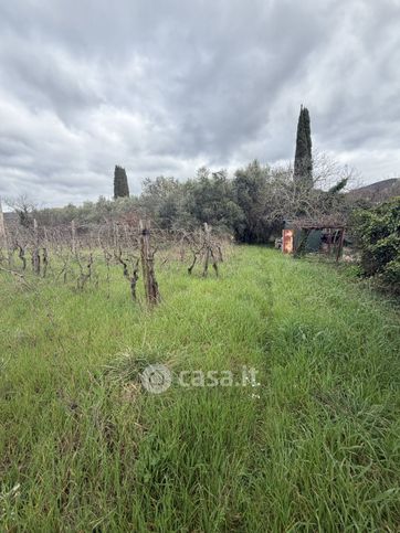 Terreno agricolo in commerciale in 