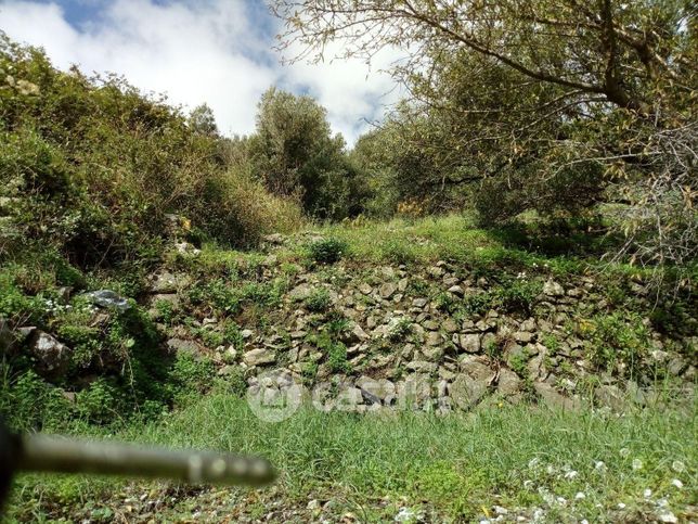 Terreno agricolo in commerciale in Via Comunale