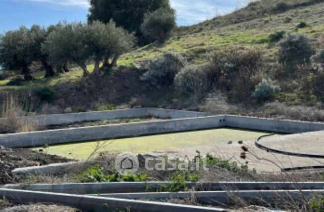 Terreno edificabile in residenziale in Strada Provinciale 79