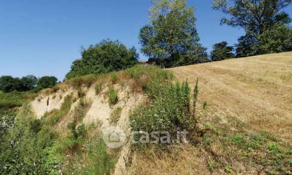 Terreno agricolo in commerciale in Contrada Guazzetti
