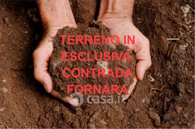 Terreno agricolo in commerciale in 