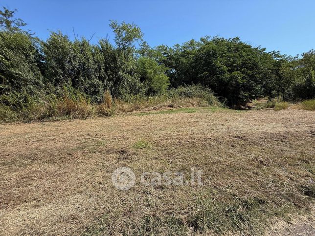 Terreno agricolo in commerciale in Strada San Martino