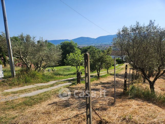 Terreno agricolo in commerciale in 
