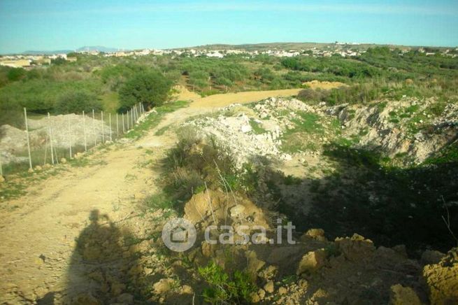 Terreno agricolo in commerciale in Strada Senza Nome 91025