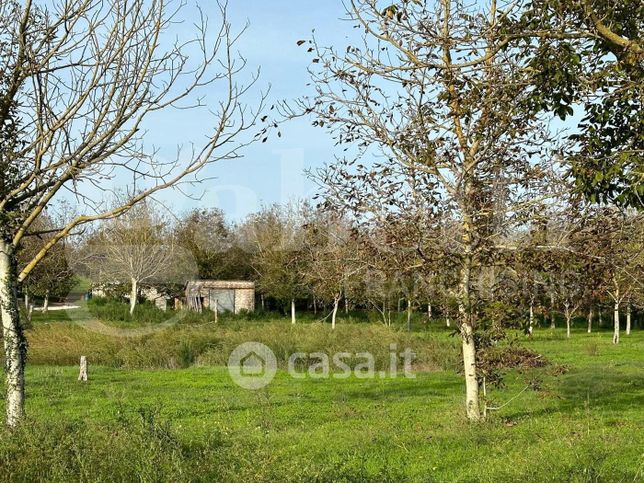 Terreno agricolo in commerciale in Strada senza nome