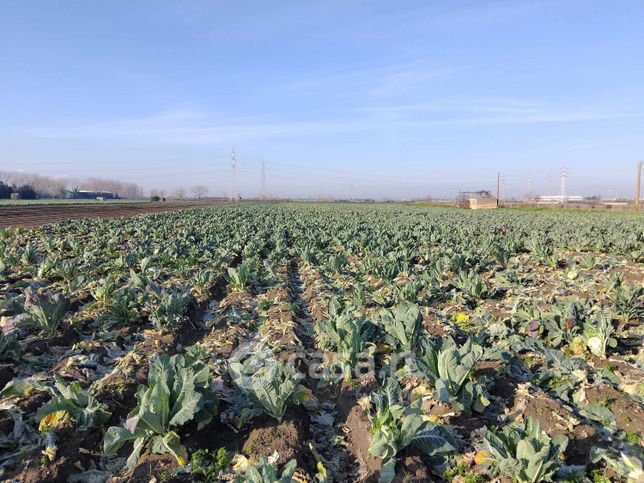 Terreno agricolo in commerciale in Via Conte di Acerra