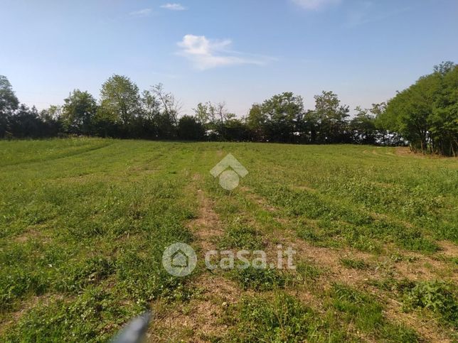 Terreno agricolo in commerciale in Località Campagna