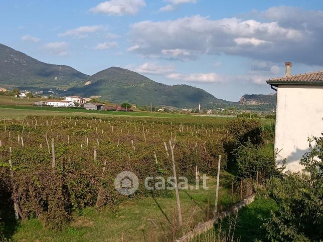 Terreno agricolo in commerciale in Via San Vito