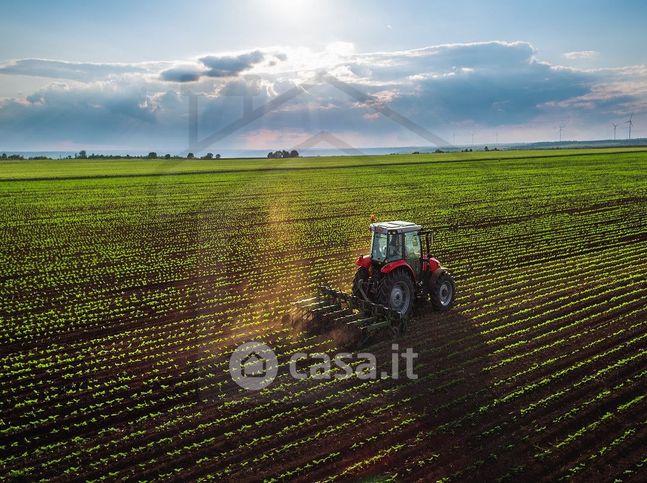 Terreno agricolo in commerciale in Via Mezzavia