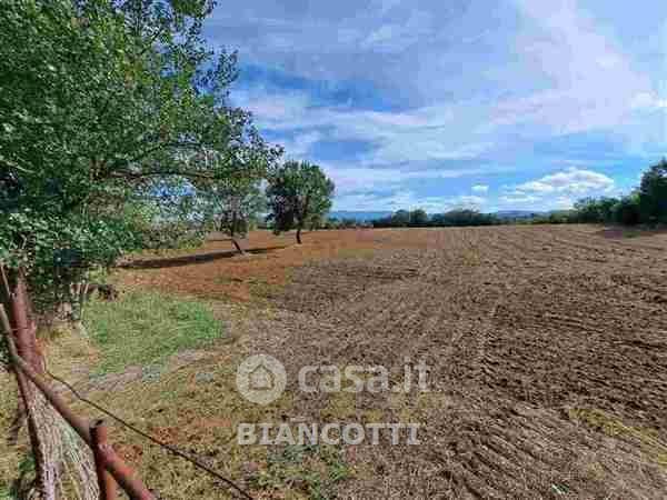 Terreno agricolo in commerciale in 