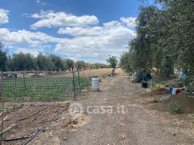 Terreno agricolo in commerciale in 