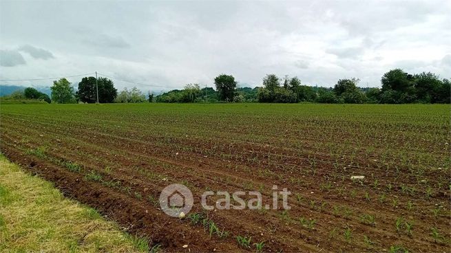 Terreno agricolo in commerciale in 
