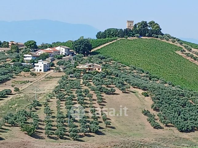 Terreno agricolo in commerciale in Via Dante Alighieri