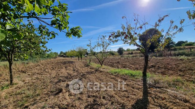 Terreno agricolo in commerciale in Via delle Buchette
