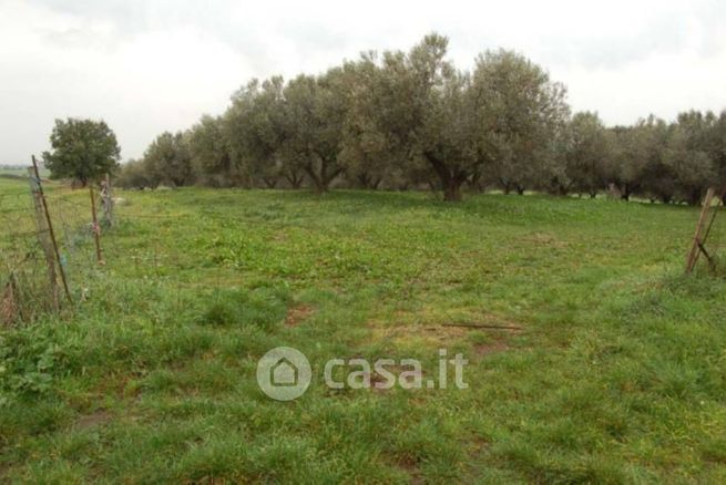 Terreno edificabile in residenziale in Strada Volpara