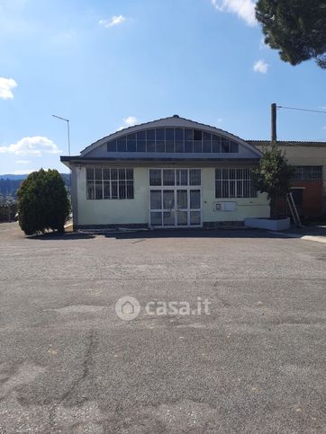 Capannone in commerciale in Via F. Colzi