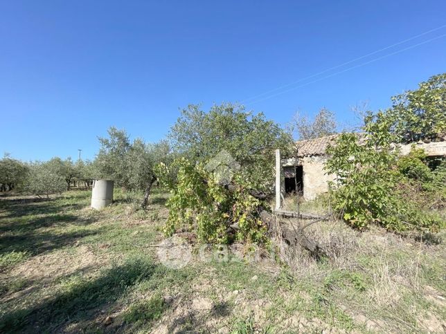 Terreno agricolo in commerciale in Via Macchione