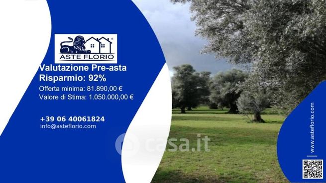 Terreno agricolo in commerciale in Contrada Filicuso