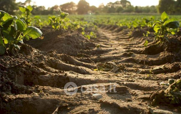 Terreno agricolo in commerciale in Frazione Mulino