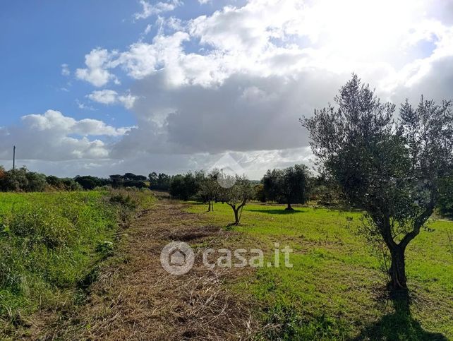 Terreno edificabile in residenziale in Via Cancelliera