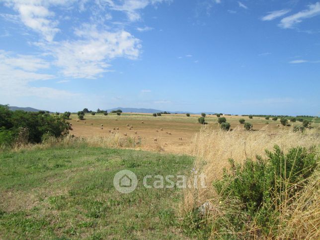 Terreno agricolo in commerciale in Amiatina