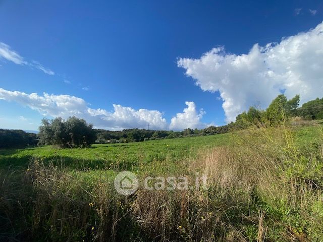 Terreno agricolo in commerciale in LocalitÃ  Casone alla Sughera