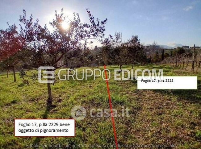 Terreno agricolo in commerciale in Contrada San Chirico