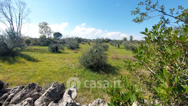 Terreno agricolo in commerciale in Vicinale pajara