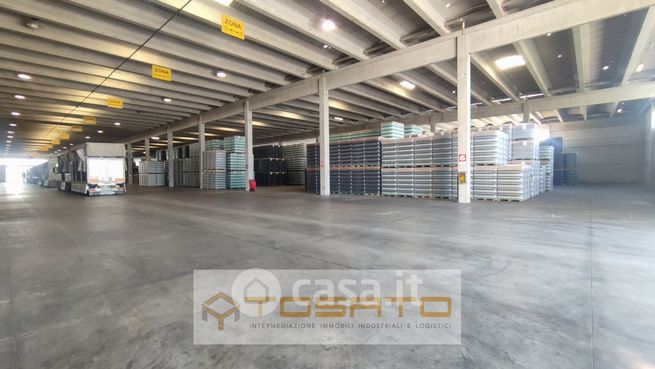 Capannone in commerciale in 