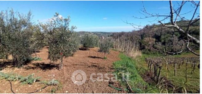 Terreno agricolo in commerciale in Contrada Bavi