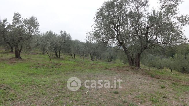 Terreno agricolo in commerciale in Via San Donato 925 /A