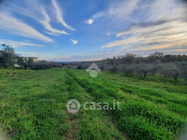 Terreno agricolo in commerciale in Via Colle Ottone Basso 1