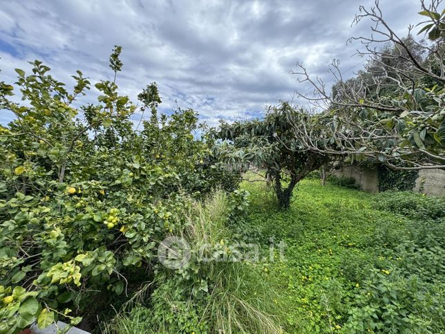 Terreno agricolo in commerciale in LocalitÃ  Curcuraci