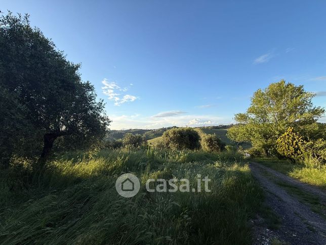 Terreno agricolo in commerciale in Via Selva dei Cavalieri